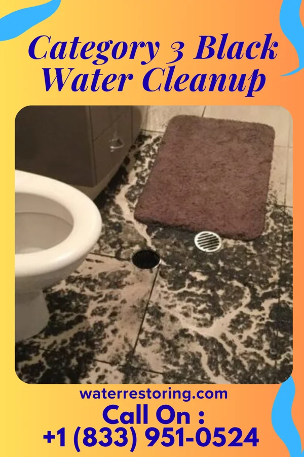 Category 3 Black Water Cleanup in Havana, KS