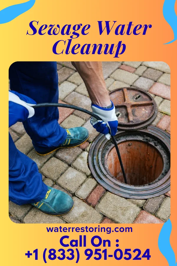 Sewage Water Cleanup in Havana, KS