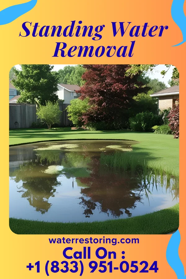 Standing Water Removal in Havana, KS